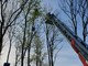 Finisce con il deltaplano su un albero e si incastra sulla pianta a dodici metri di altezza: 52enne salvato dai vigili del fuoco a Laveno Mombello