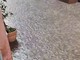30 mm di pioggia in mezz'ora: allagati a Celle i negozi e la biblioteca (VIDEO)