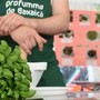 Pra’, dopo cinque anni di stop ritorna in grande stile la festa simbolo del quartiere ‘Profummo de Baxaicò’