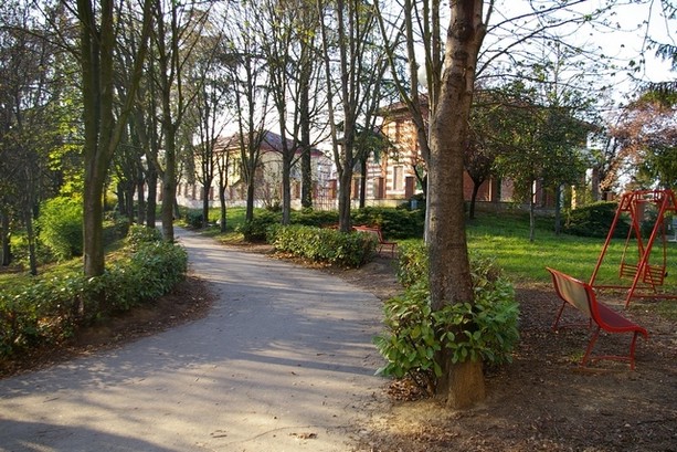 Schianto notturno al parco Monte Rainero, pino crolla su un'area giochi Schianto notturno al parco Monte Rainero, pino crolla su un'area giochi