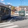 Ampliamento Caffarel: il Tar dà il via libera all'abbattimento degli alberi Ampliamento Caffarel: il Tar dà il via libera all'abbattimento degli alberi