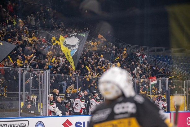 FOTO. Mastini troppo piccoli per questo Caldaro e inadeguati davanti al muro giallonero