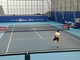 ATP Finals, fischiano le prime palline degli allenamenti allo Sporting (FOTO e VIDEO)