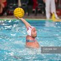 Pallanuoto, Euro Cup. La Rari cerca a Budapest il passo decisivo in ottica qualificazione, alle 20 la sfida allo Steaua