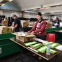 La macchina elettorale è pronta&quot;: alle urne oltre 630mila torinesi per il referendum