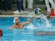 Pallanuoto. Champions League, la R.N. Savona verso Barceloneta. Damonte: &quot;Proveremo a dare il meglio&quot; (VIDEO)