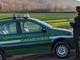 Il bilancio del 2024 dei Carabinieri Forestali di Varese: accertate 254 irregolarità, sanzionate 142 persone, 145 le denunce e 30 i sequestri effettuati