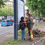 Alberi abbattuti in corso Belgio: ambientalisti di nuovo in strada per chiedere lo stop [FOTO]