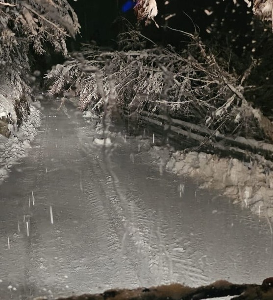 Neve e disagi sulla Granda: alberi caduti, strade chiuse, allagamenti e traffico ferroviario in tilt
