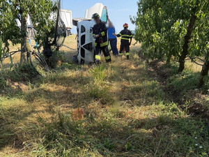 Saluzzo: auto piomba a tutta velocità in un frutteto dove è in corso la raccolta frutta e si ribalta tra i filari