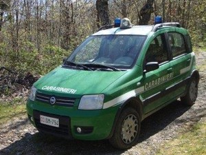 Rifiuti abbandonati in località Valleversa: concessa una proroga per la bonifica dell'area Rifiuti abbandonati in località Valleversa: concessa una proroga per la bonifica dell'area
