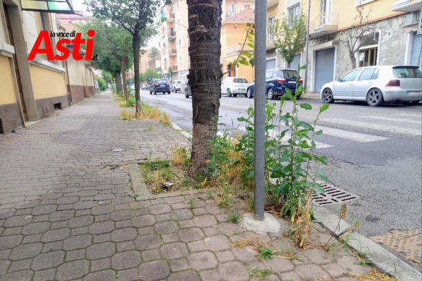 Sicurezza e decoro in corso Matteotti: la minoranza interroga sindaco e giunta