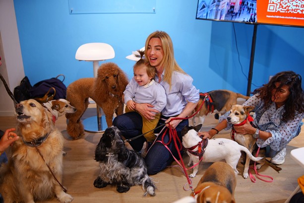 Elezioni comunali, Salis incontra le associazioni per il benessere animale: “Aree per cani e un gattile, è tempo di un piano concreto”