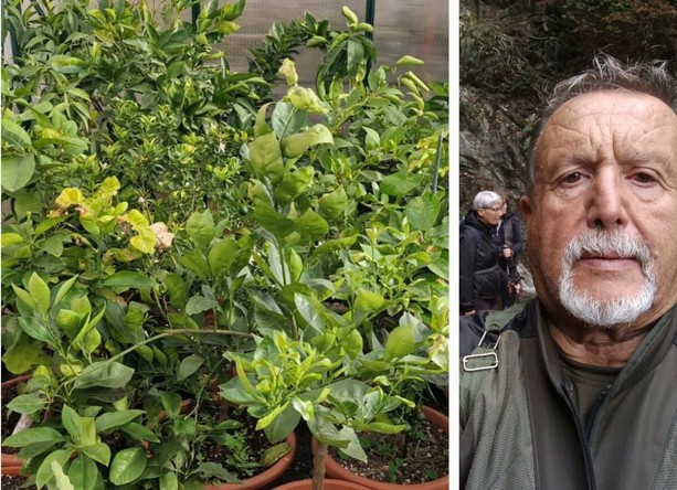 Arriva la primavera. Ecco consigli e segreti per un orto perfetto, in giardino o sul balcone di casa: «Il trucco è mettere un buon stallatico vicino alla zolla» Arriva la primavera. Ecco consigli e segreti per un orto perfetto, in giardino o sul balcone di casa: «Il trucco è mettere un buon stallatico vicino alla zolla»