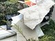 Parco Arrivore trasformato in discarica: cartongesso, rifiuti e un container rovesciato