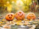 Halloween si avvicina: cosa fare in Canton Ticino nella notte più spaventosa dell'anno