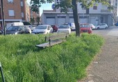 Sfalci a Torino nord, la Circoscrizione 6 frena: “Qualche dubbio sul piano”