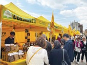EVENTI / Weekend in Granda tra gusto, cultura e sport EVENTI / Weekend in Granda tra gusto, cultura e sport
