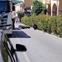 Viene colpita prima da un'auto e poi finisce contro un camion nella corsia opposta: 60enne in prognosi riservata al Santa Corona