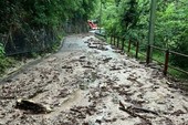 Nubifragi, grandine e allagamenti, il bilancio dei vigili del fuoco: «In provincia di Varese un centinaio di richieste di intervento» Nubifragi, grandine e allagamenti, il bilancio dei vigili del fuoco: «In provincia di Varese un centinaio di richieste di intervento»