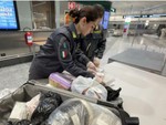 Malpensa, sequestrati 11.400 farmaci illegali e 15 litri di insetticida letale per l'uomo Malpensa, sequestrati 11.400 farmaci illegali e 15 litri di insetticida letale per l'uomo