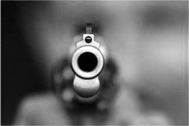 Donna muore per un colpo d'arma da fuoco alla testa: indagini in Canton Ticino Donna muore per un colpo d'arma da fuoco alla testa: indagini in Canton Ticino
