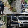 Ventimiglia, ricerche senza sosta per il piccolo Alain: sul posto i cani molecolari, la madre lo chiama dagli altoparlanti (Foto e video)