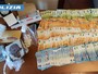 Blitz anti droga a Castelseprio, un arresto: la polizia sequestra quasi mezzo chilo di cocaina e 40mila euro in contanti Blitz anti droga a Castelseprio, un arresto: la polizia sequestra quasi mezzo chilo di cocaina e 40mila euro in contanti