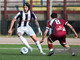 Calcio | Savona, vittoria col Pontelungo e ora derby con l'Albissole. Sassari: "Abbiamo solo un risultato, andremo là per vincere" (VIDEO)