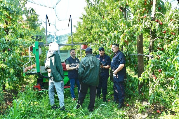 Caporalato, maxi controlli nei campi del Cuneese: metà delle aziende irregolari