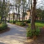 Schianto notturno al parco Monte Rainero, pino crolla su un'area giochi