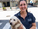 Sei cani soccorsi in un'abitazione a Savona dopo una segnalazione: intervento della polizia locale e del servizio veterinario