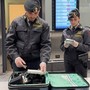 Traffico di denaro, in pochi mesi a Malpensa “scoperti” oltre 13 milioni nascosti Traffico di denaro, in pochi mesi a Malpensa “scoperti” oltre 13 milioni nascosti