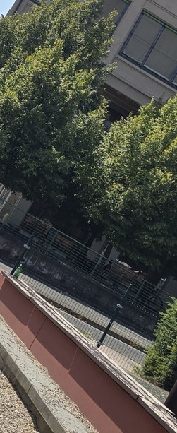 Nizza Millefonti, ancora una segnalazione di degrado: "Anche a Ferragosto la situazione è sempre identica" Nizza Millefonti, ancora una segnalazione di degrado: "Anche a Ferragosto la situazione è sempre identica"
