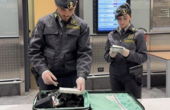 Malpensa, maxi sequestro di sigarette di contrabbando: 44 denunce Malpensa, maxi sequestro di sigarette di contrabbando: 44 denunce