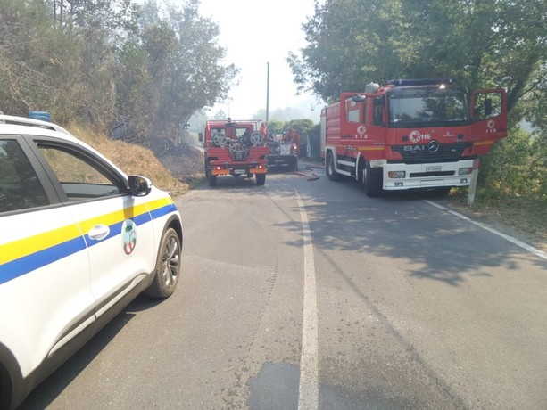 Incendio nell'entroterra ingauno: continua la bonifica, in volo EliLiguria Incendio nell'entroterra ingauno: continua la bonifica, in volo EliLiguria