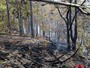 Sassello, incendio boschivo in località Chiapuzzo: bonifica in corso (FOTO) Sassello, incendio boschivo in località Chiapuzzo: bonifica in corso (FOTO)