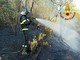 I boschi della Lombardia bruciano: la mappa degli incendi, c'è anche il Varesotto I boschi della Lombardia bruciano: la mappa degli incendi, c'è anche il Varesotto