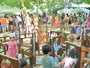 Cagnes-sur-Mer si trasforma in un grande parco giochi: torna la Festa Mondiale del Gioco Cagnes-sur-Mer si trasforma in un grande parco giochi: torna la Festa Mondiale del Gioco