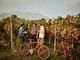 5 idee per una vacanza green in Ticino: Bike'n'Wine