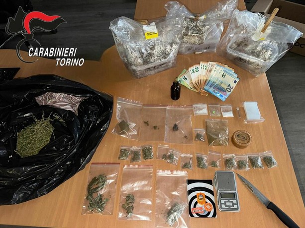Trasforma la cucina in una serra per ganja e funghetti: arrestato 22enne a Fiano Torinese
