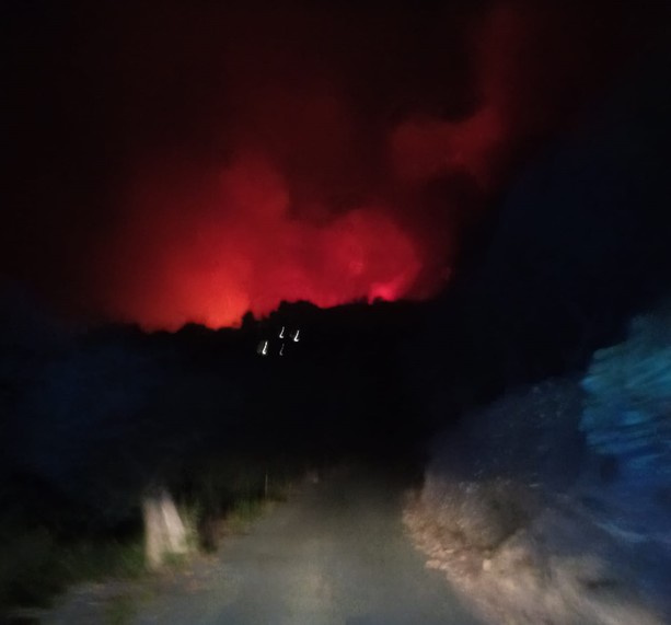 Incendio boschivo ad Alassio: mobilitati i mezzi aerei, evacuate alcune abitazioni