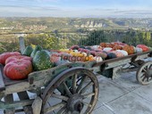 I frutti dell'autunno protagonisti di eventi e sagre in tutta la Granda I frutti dell'autunno protagonisti di eventi e sagre in tutta la Granda