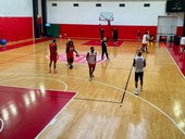 Openjobmetis, si riparte da Cremona: «Saremo migliori di come avevamo lasciato». Stewart pronto per l’esordio Openjobmetis, si riparte da Cremona: «Saremo migliori di come avevamo lasciato». Stewart pronto per l’esordio