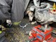 Cane finisce sotto un tram in corso Regina: il miracoloso salvataggio dei vigili del fuoco [FOTO]