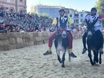 Dal Palio degli Asini all'Ottobrata, un weekend ricco di sagre ed eventi in tutta la Granda Dal Palio degli Asini all'Ottobrata, un weekend ricco di sagre ed eventi in tutta la Granda