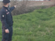 Cattura un airone bianco maggiore nella zona periferica della città: nei guai un 29enne di origini romene