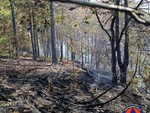 Sassello, incendio boschivo in località Chiapuzzo: bonifica in corso (FOTO)