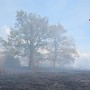 Bruciano i boschi a Meana di Susa: vigili del fuoco in azione da oggi pomeriggio, ma la missione non è semplice [FOTO]