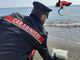La droga arriva dal mare, i carabinieri recuperano 1 kg di cocaina sulla spiaggia di Albissola La droga arriva dal mare, i carabinieri recuperano 1 kg di cocaina sulla spiaggia di Albissola